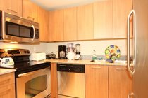 # 1009 1212 HOWE ST, Vancouver - V855095