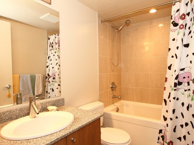 # 1009 1212 HOWE ST, Vancouver - V855095