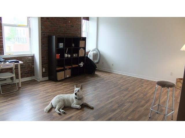 # 504 233 ABBOTT ST, Vancouver - V856027