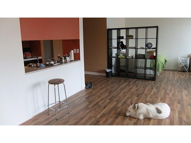 # 504 233 ABBOTT ST, Vancouver - V856027