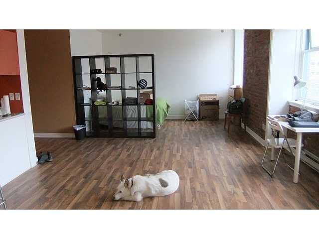 # 504 233 ABBOTT ST, Vancouver - V856027