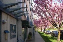 # 217 2001 WALL ST, Vancouver - V887340