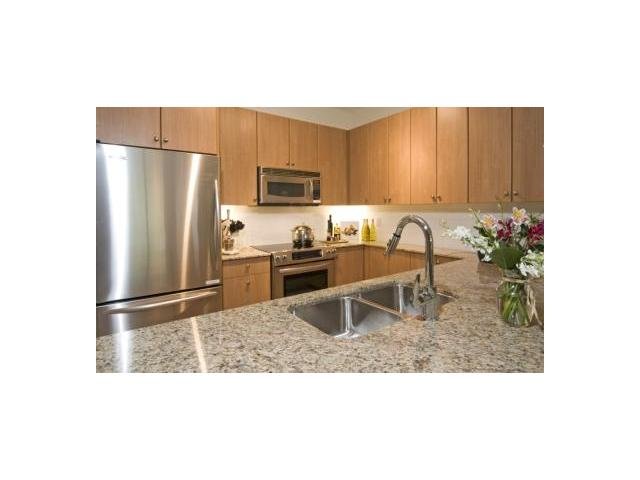 # 405 250 FRANCIS WY, New Westminster - V916249