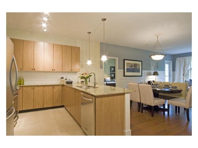 # 405 250 FRANCIS WY, New Westminster - V916249