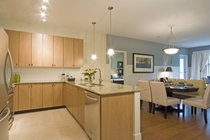 # 405 250 FRANCIS WY, New Westminster - V916249
