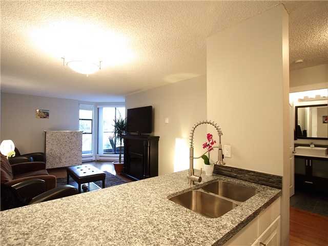 # 317 1080 PACIFIC ST, Vancouver - V931869
