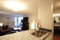 # 317 1080 PACIFIC ST, Vancouver - V931869