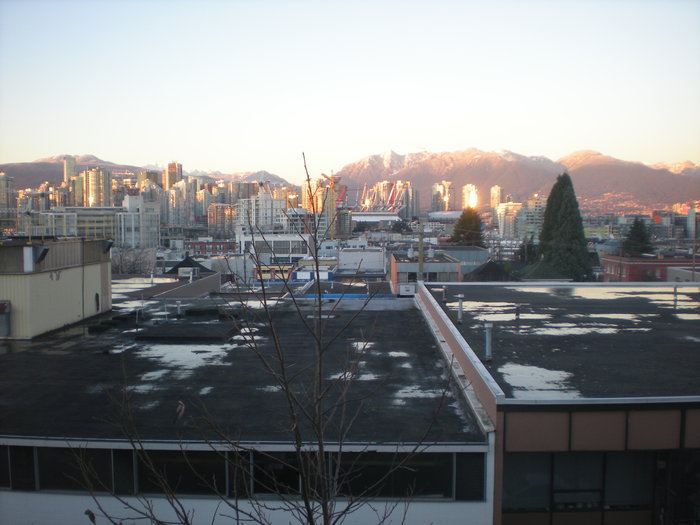 # 306 338 W 8TH AV, Vancouver - V1002828