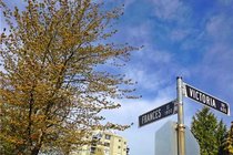 # 705 1833 FRANCES ST, Vancouver - V1003375