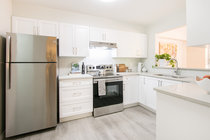 122 2960 E 29TH AVENUE, Vancouver - R2199028